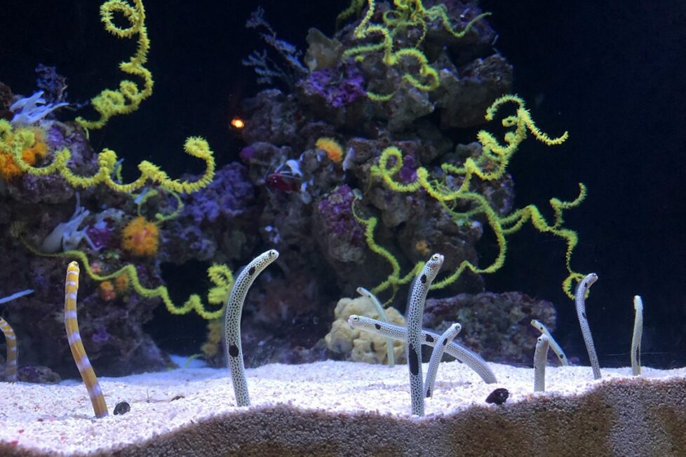 Fotografía de Julia Goralski a través de Unsplash