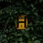 Fotografía de Pau Casals a través de Unsplash