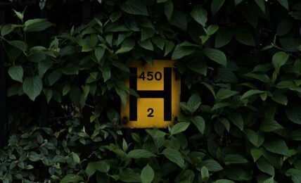 Fotografía de Pau Casals a través de Unsplash