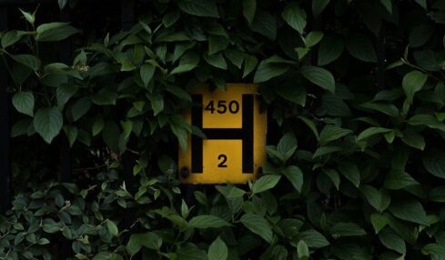 Fotografía de Pau Casals a través de Unsplash