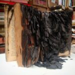 Libro quemado. Fotografía de Sergio Núñez