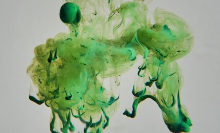 Fotografía de Chandu JS a través de Unsplash