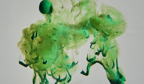 Fotografía de Chandu JS a través de Unsplash