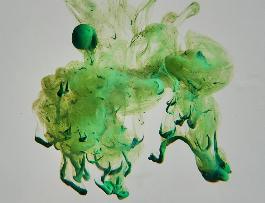 Fotografía de Chandu JS a través de Unsplash