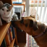 Fotografía de Danae Callister a través de Unsplash