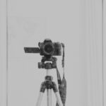 Fotografía de Ritupon Baishya a través de Unsplash