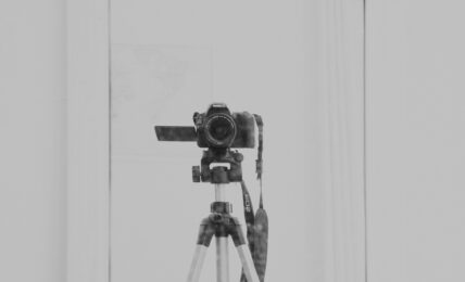 Fotografía de Ritupon Baishya a través de Unsplash