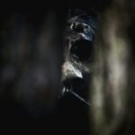 Fotografía de Rob Griffin a través de Unsplash