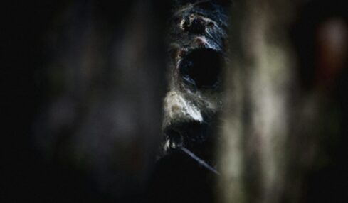 Fotografía de Rob Griffin a través de Unsplash