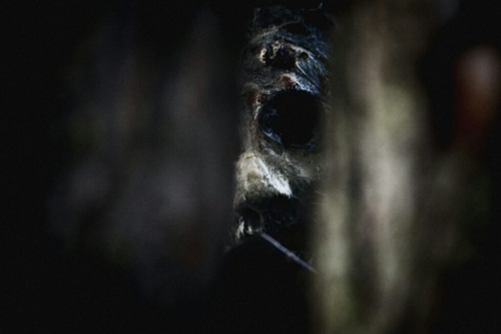 Fotografía de Rob Griffin a través de Unsplash