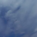 A vez. Fotografía de Sandra González Parra para los poemas de Paulina Gutiérrez