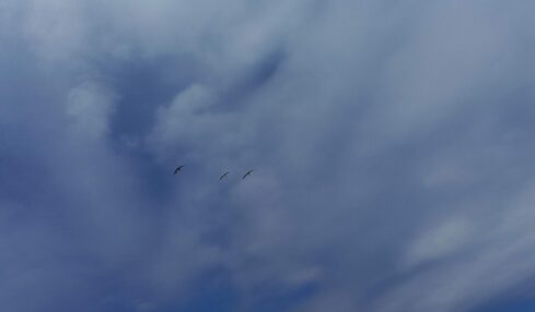 A vez. Fotografía de Sandra González Parra para los poemas de Paulina Gutiérrez