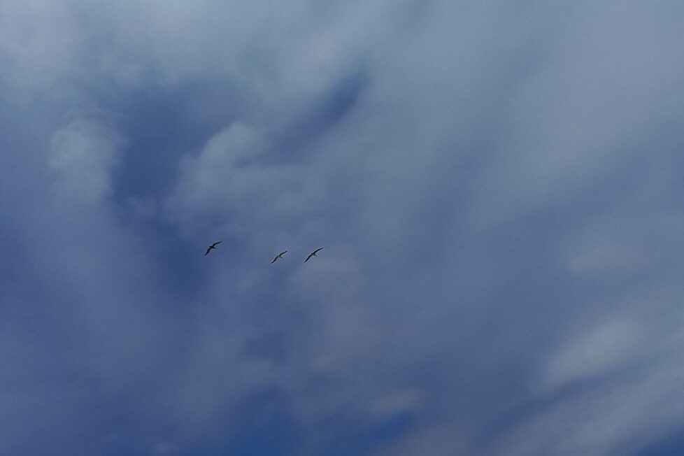 A vez. Fotografía de Sandra González Parra para los poemas de Paulina Gutiérrez