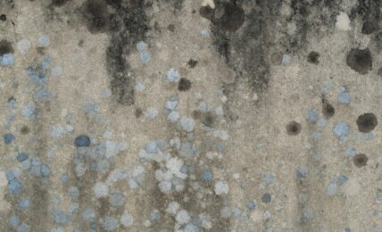 Fotografía de Andrew Small a través de Unsplash