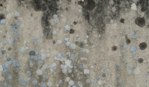 Fotografía de Andrew Small a través de Unsplash