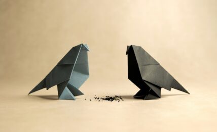 Fotografía de Zuzana Rainet a través de Unsplash