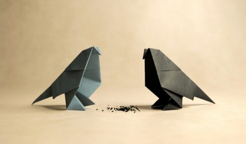 Fotografía de Zuzana Rainet a través de Unsplash