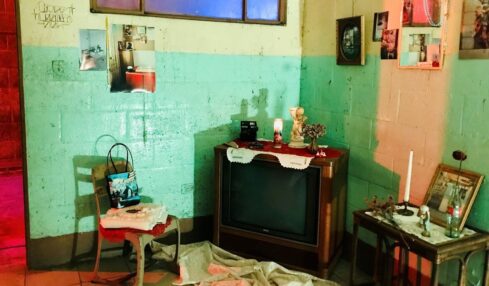 Fotografía por cortesía de Jorge Damián Méndez Lozano