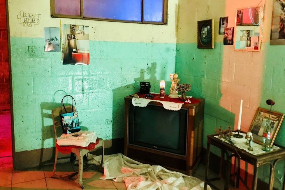 Fotografía por cortesía de Jorge Damián Méndez Lozano