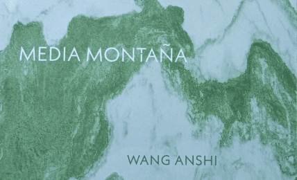 Media Montaña de Wang Anshi