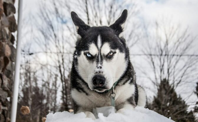 Fotografía de Aureanne Mailhiot a través de Unsplash