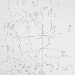 Observación de los movimientos de una mosca sobre el cristal de una ventana desde las 8 de la mañana hasta las 7 de la tarde de un día de mayo de 1967 de Walter Marchetti