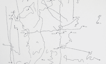 Observación de los movimientos de una mosca sobre el cristal de una ventana desde las 8 de la mañana hasta las 7 de la tarde de un día de mayo de 1967 de Walter Marchetti