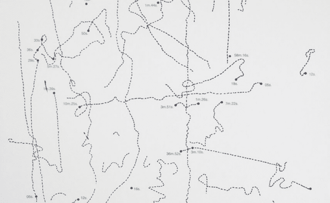 Observación de los movimientos de una mosca sobre el cristal de una ventana desde las 8 de la mañana hasta las 7 de la tarde de un día de mayo de 1967 de Walter Marchetti