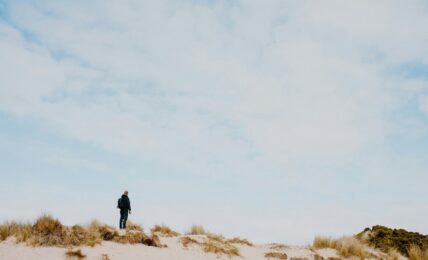 Fotografía de Annie Spratt a través de Unsplash