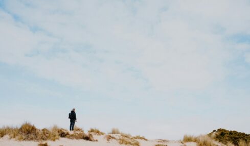Fotografía de Annie Spratt a través de Unsplash