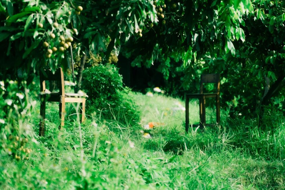 Fotografía de Nguyen Phan Nam Anh a través de Unsplash