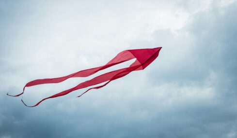Fotografía de Viktorija Iankauskaite a través de Unsplash