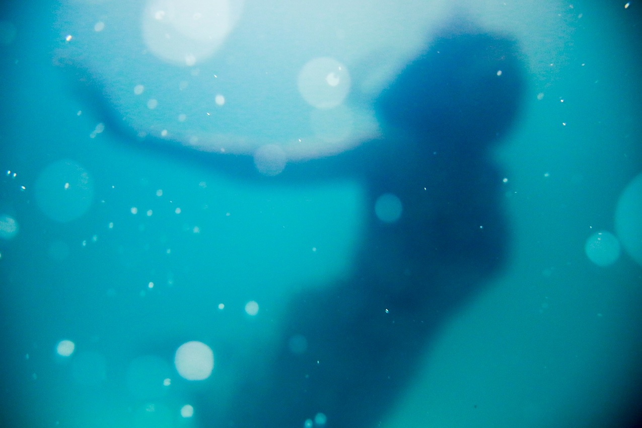 Fotografía de Nsey Benajah a través de Unsplash
